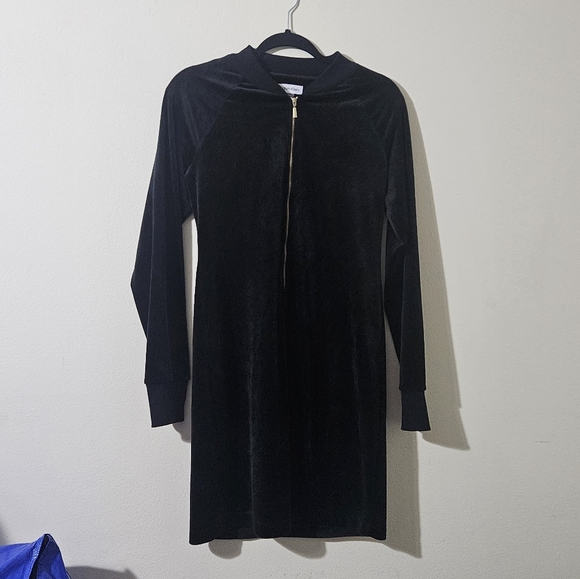 Calvin Klein Velour Dress - Picture 1 of 6